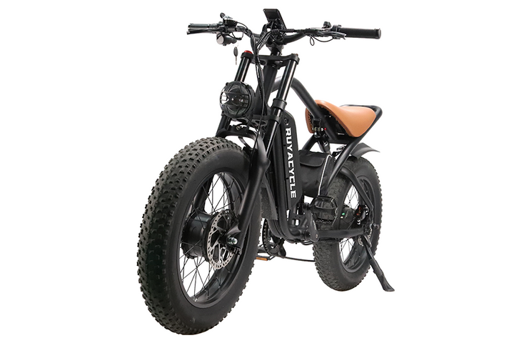 Ruyacycle n1
