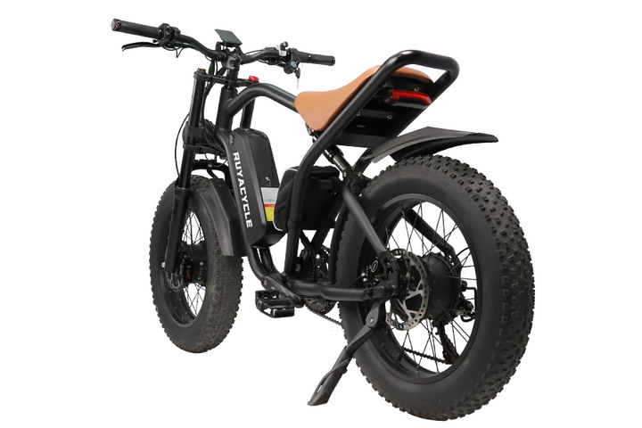 Ruyacycle n1