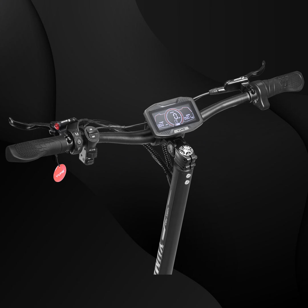 Hawk Pro large