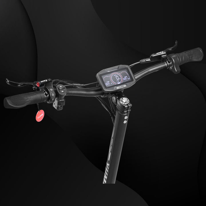 Hawk Pro large