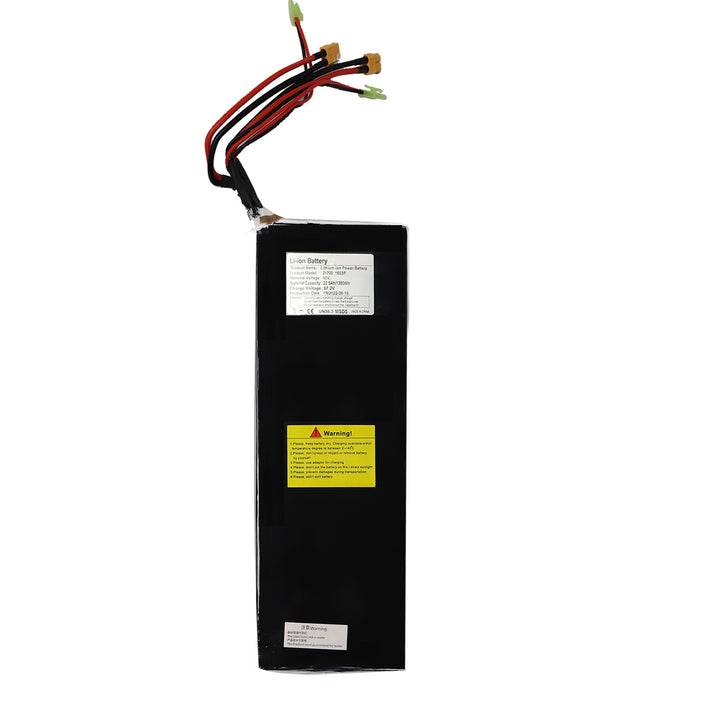 Batterie standard 60V 22.5AH HAWK & M10/SAMSUNG Battery 60V 25AH HAWK